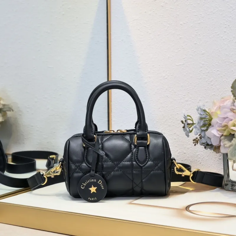 Dior Speedy Bags-10