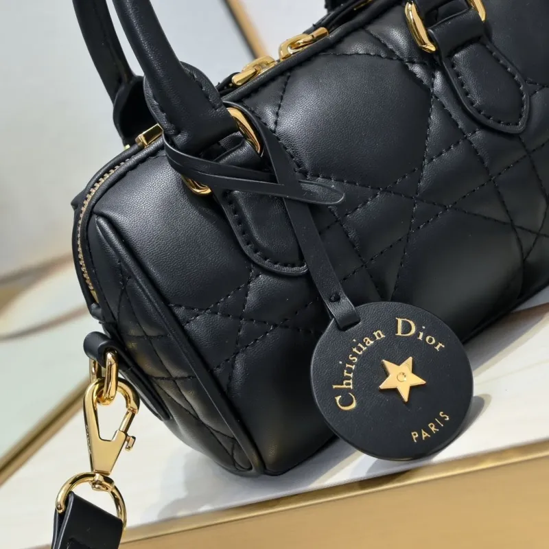 Dior Speedy Bags-10 - Image 4