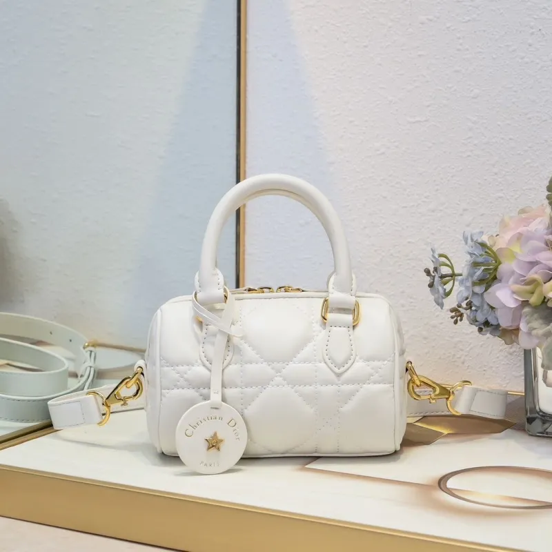 Dior Speedy Bags-11