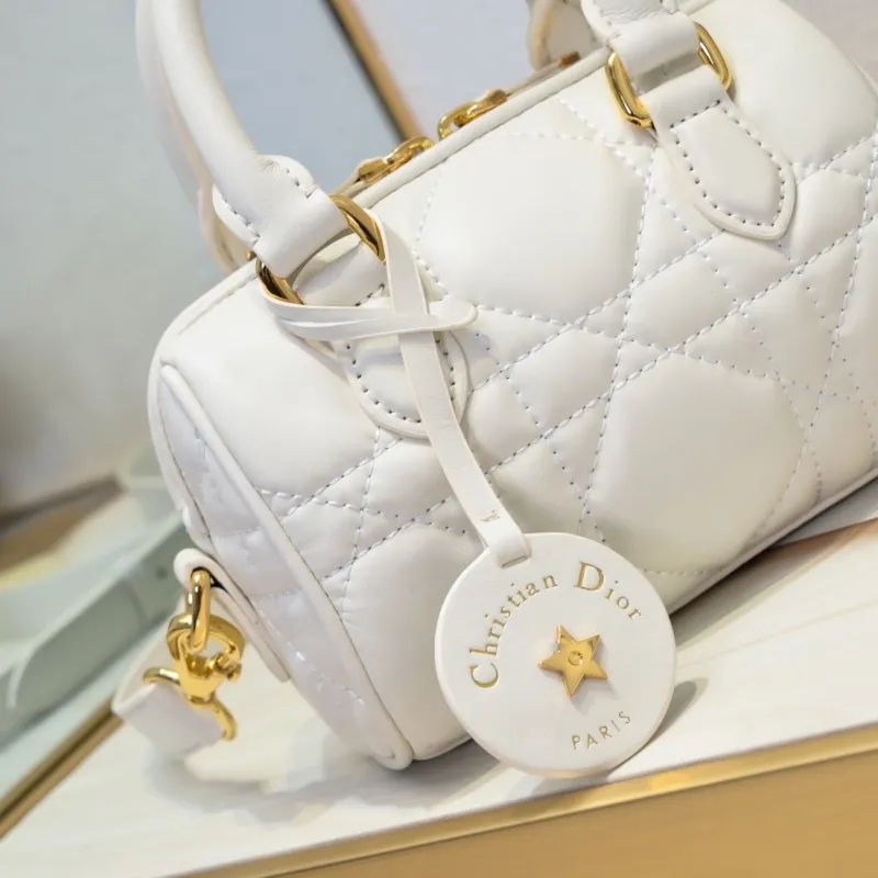 Dior Speedy Bags-11 - Image 4