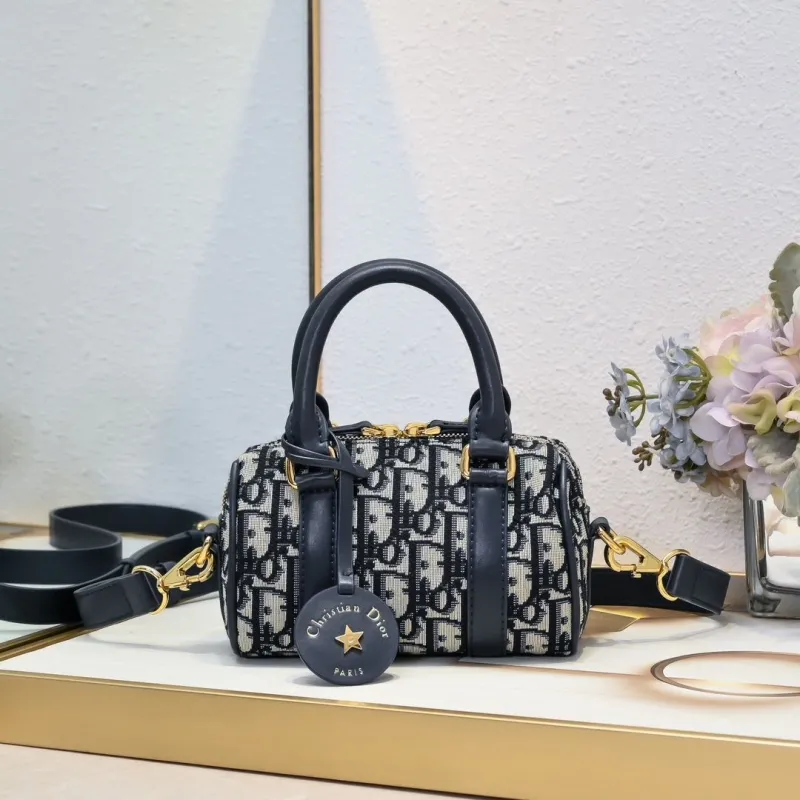 Dior Speedy Bags-12
