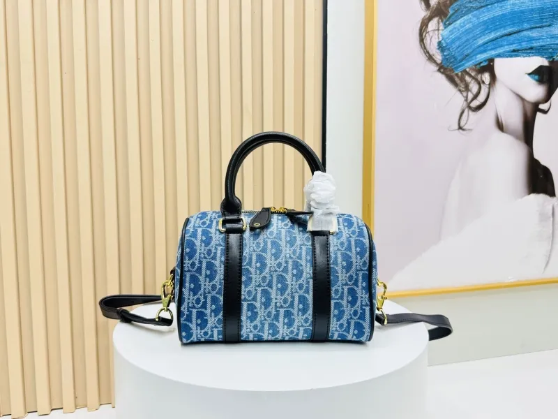 Dior Speedy Bags-13