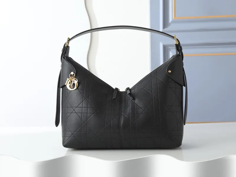 Dior Top Handle Bags-32