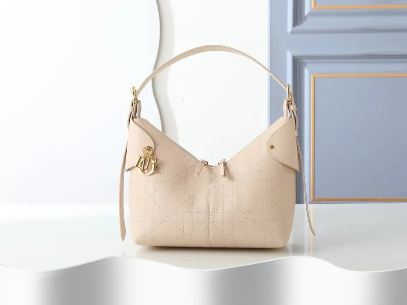 Dior Top Handle Bags-35
