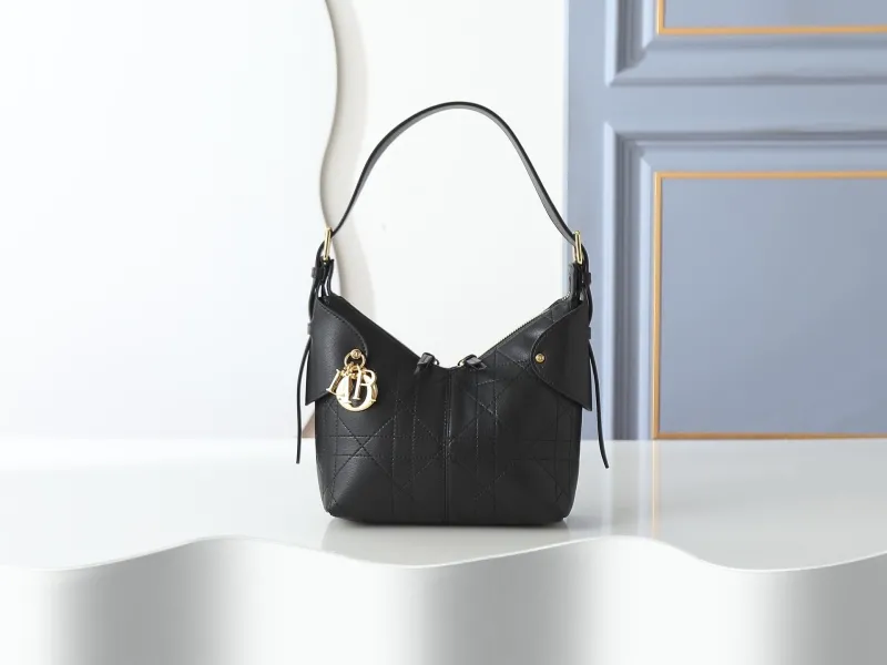 Dior Top Handle Bags-36