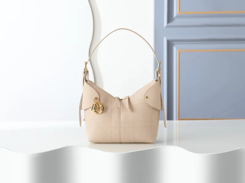 Dior Top Handle Bags-37