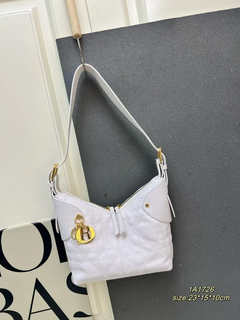 Dior Top Handle Bags-65