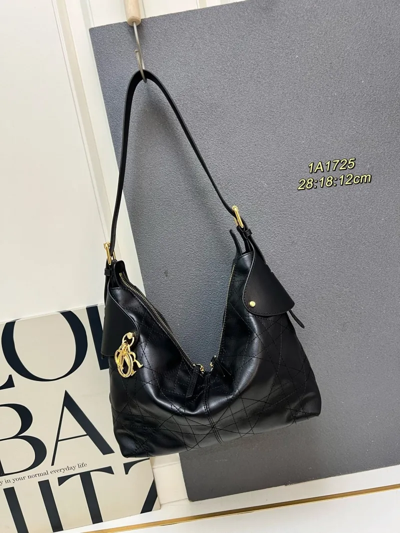 Dior Top Handle Bags-66