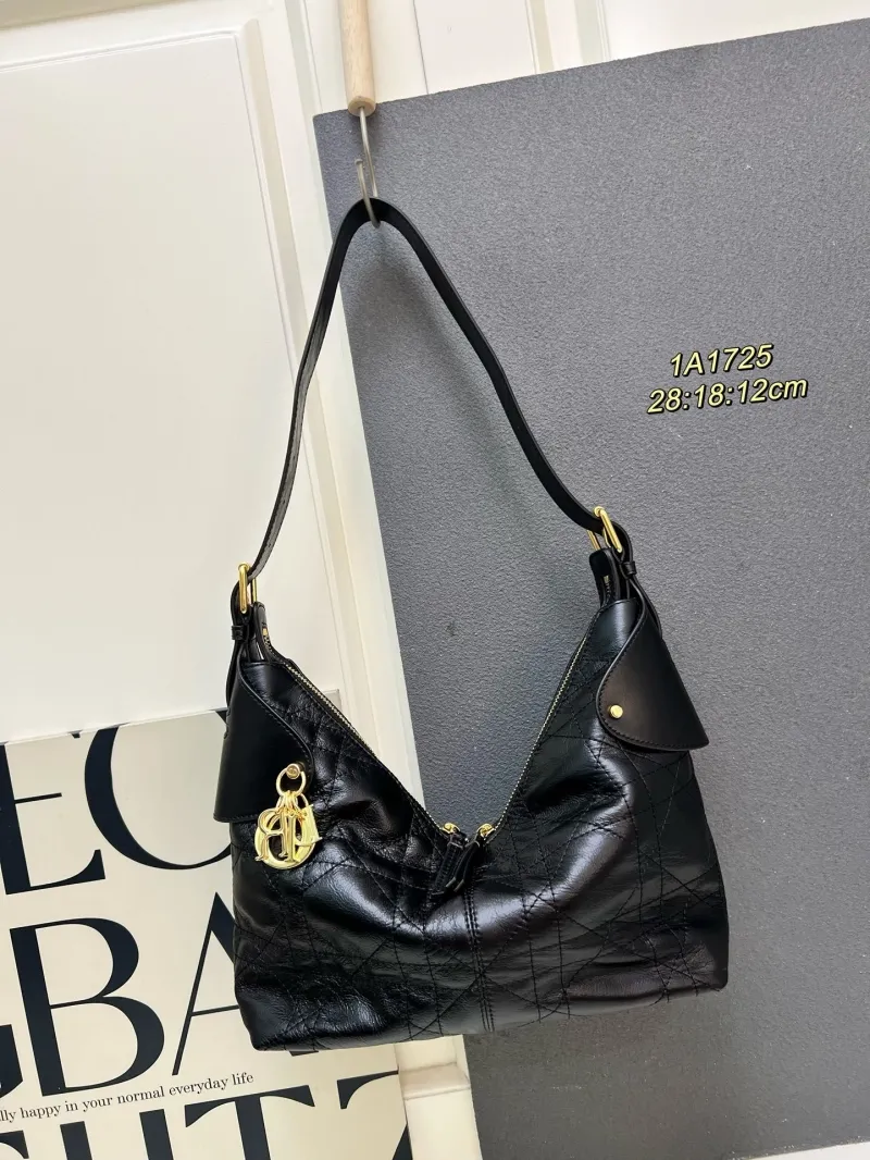 Dior Top Handle Bags-68