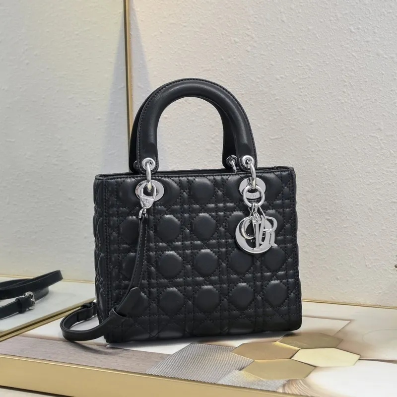 Dior Top Handle Bags-151