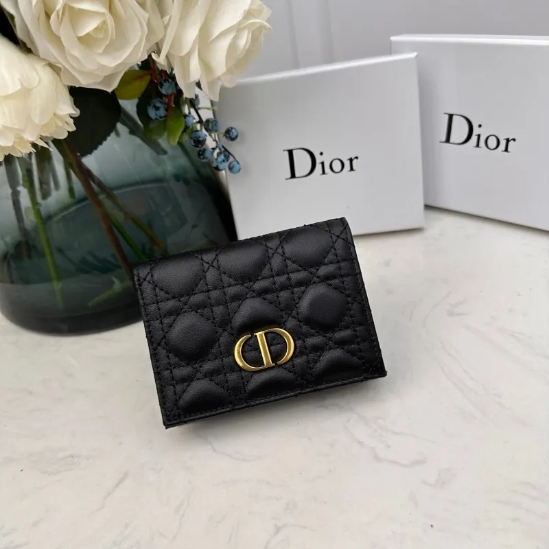 Dior Wallet-156