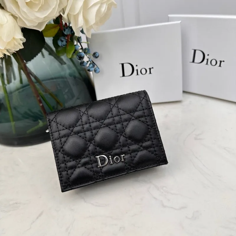 Dior Wallet-157