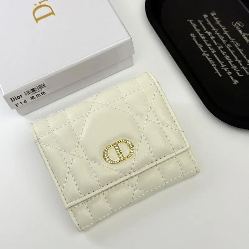 Dior Wallet-194