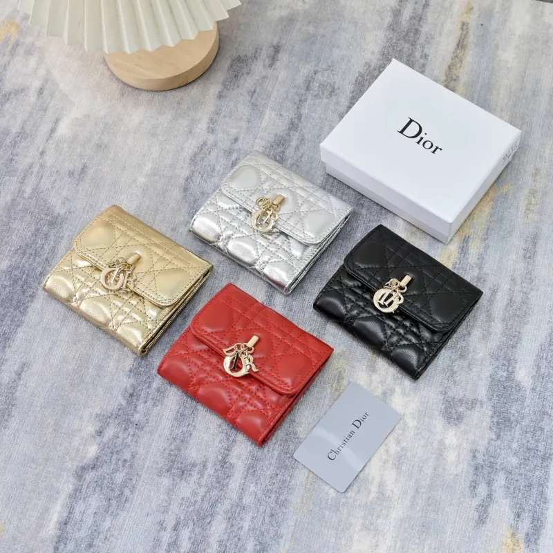 Dior Wallet-207