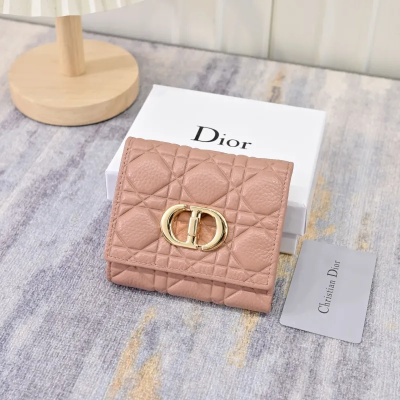 Dior Wallet-208