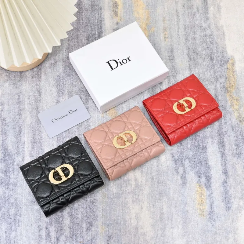 Dior Wallet-209