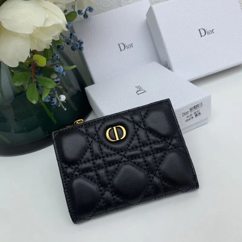 Dior Wallet-251