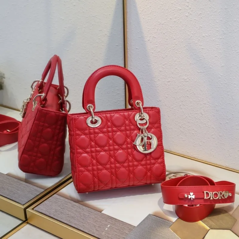 Dior Top Handle Bags-152