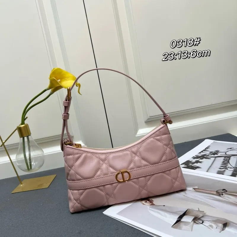 Dior Top Handle Bags-198