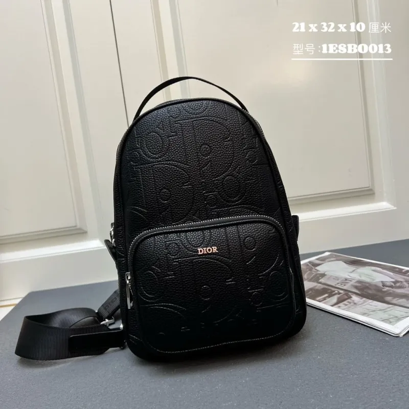 Dior Waist & Chest Packs-1