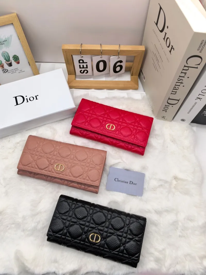 Dior Wallet-15