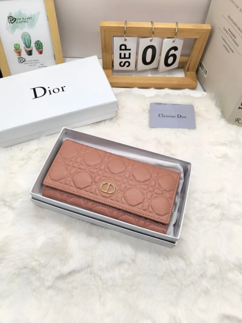 Dior Wallet-16