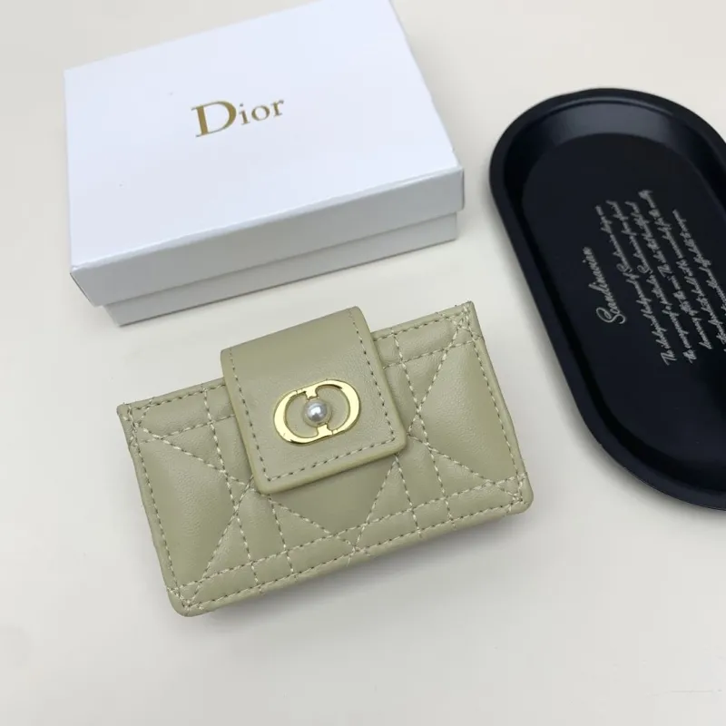 Dior Wallet-103
