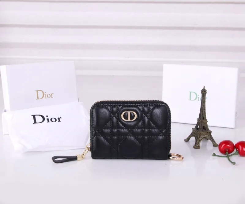 Dior Wallet-129