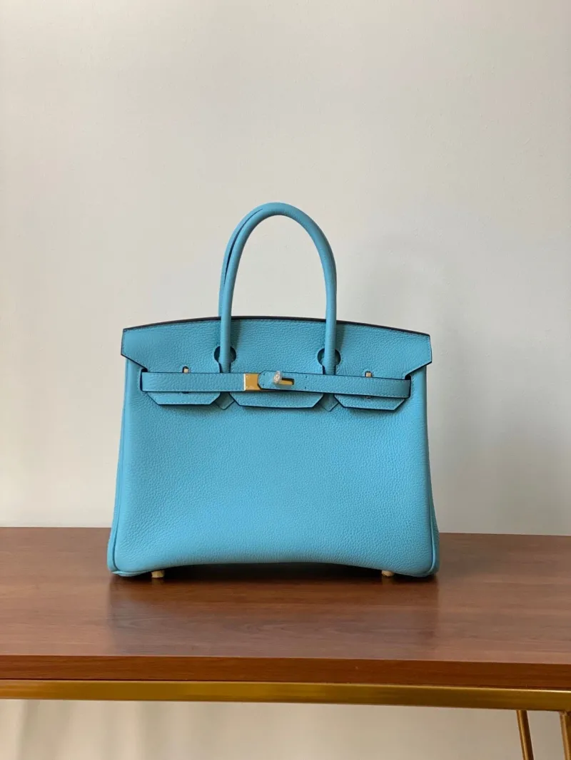 Hermes Birkin Bags-2