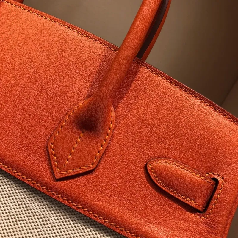 Hermes Birkin 24 Orange Canvas Handbag - Image 6