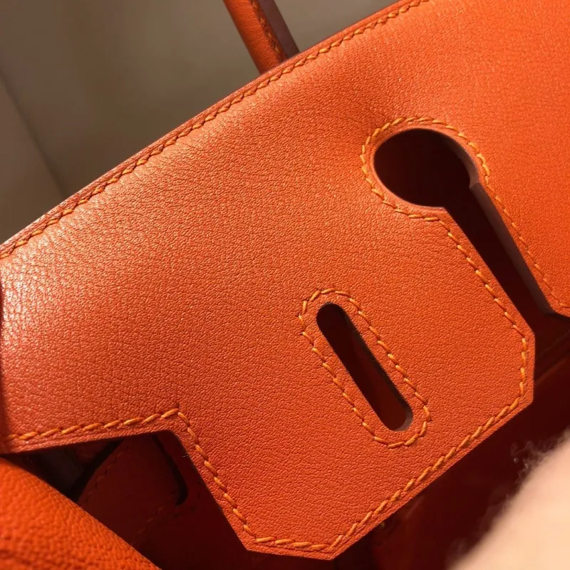 Hermes Birkin 24 Orange Canvas Handbag - Image 8