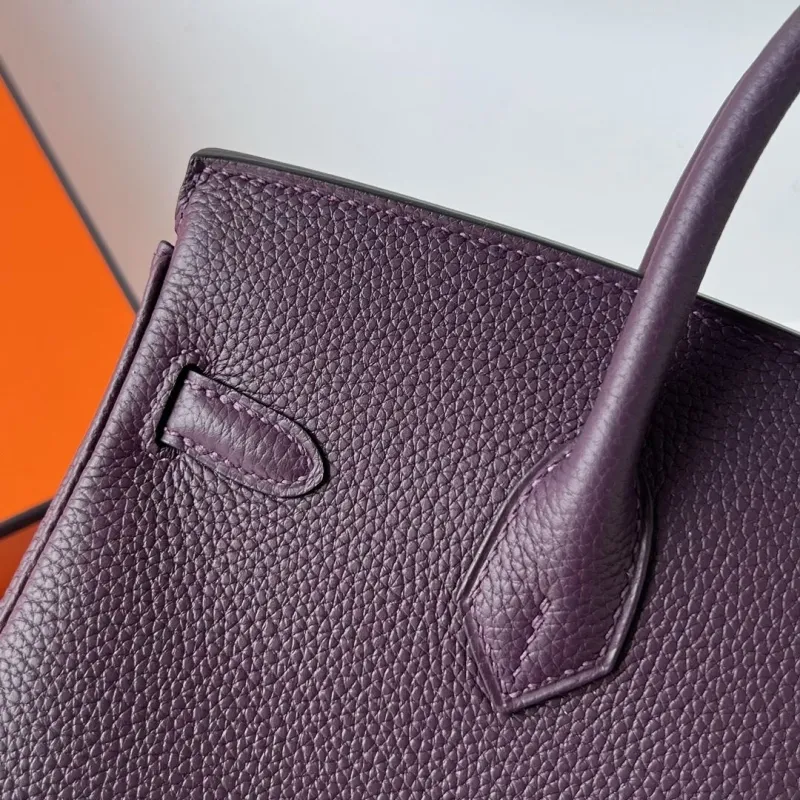 Hermes Birkin Bags-76 - Image 5