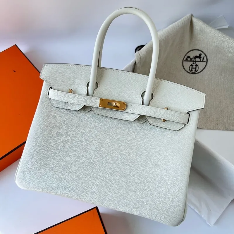 Hermes Birkin Bags-111