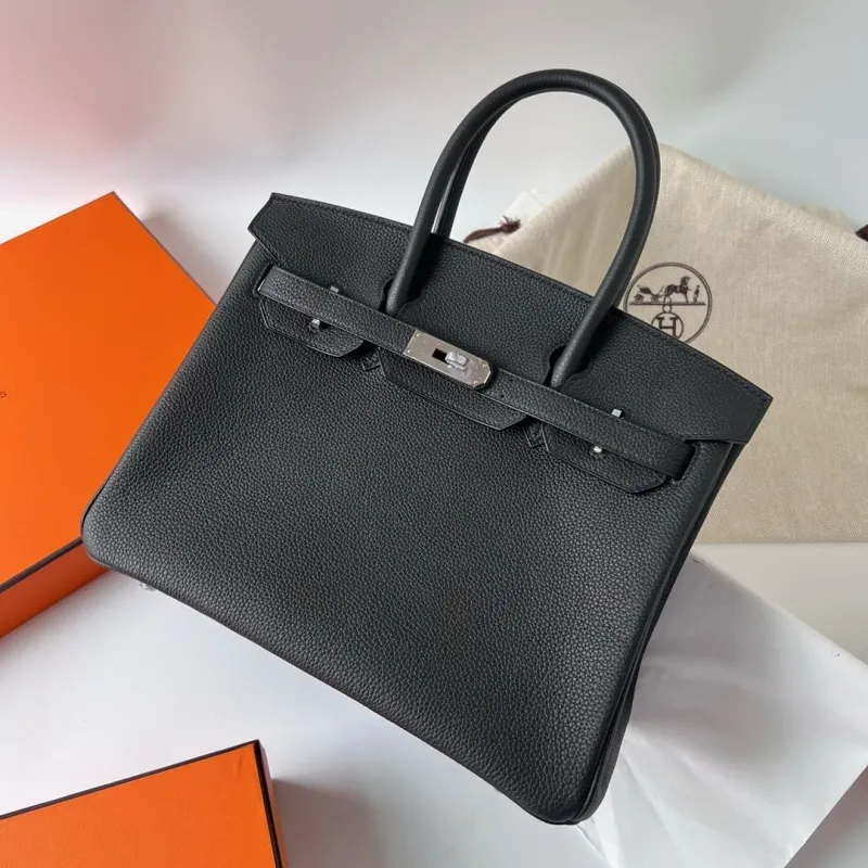 Hermes Birkin Bags-113