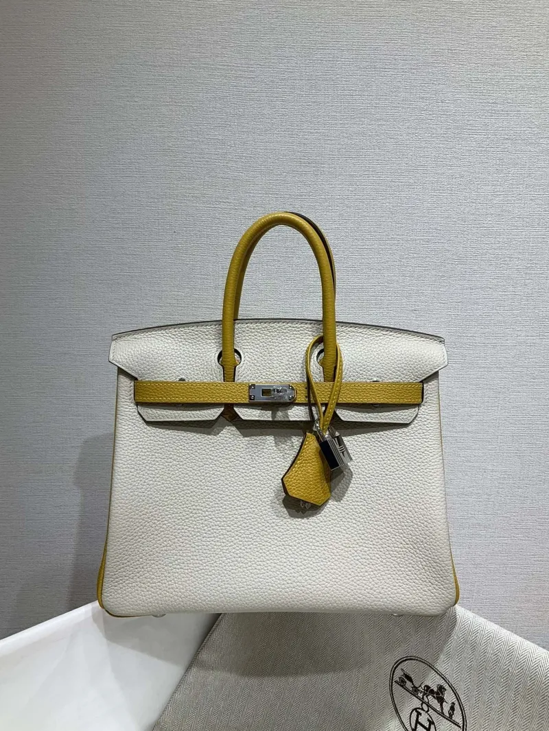 Hermes Birkin Bags-119