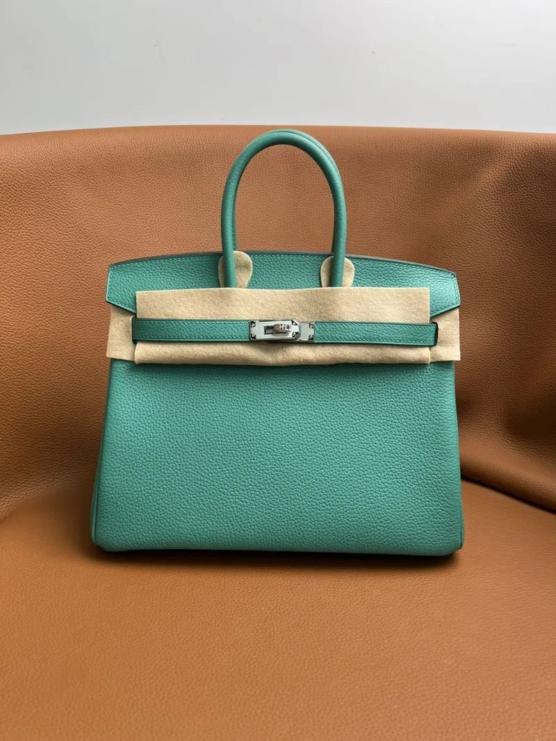 Hermes Kelly Bags-382