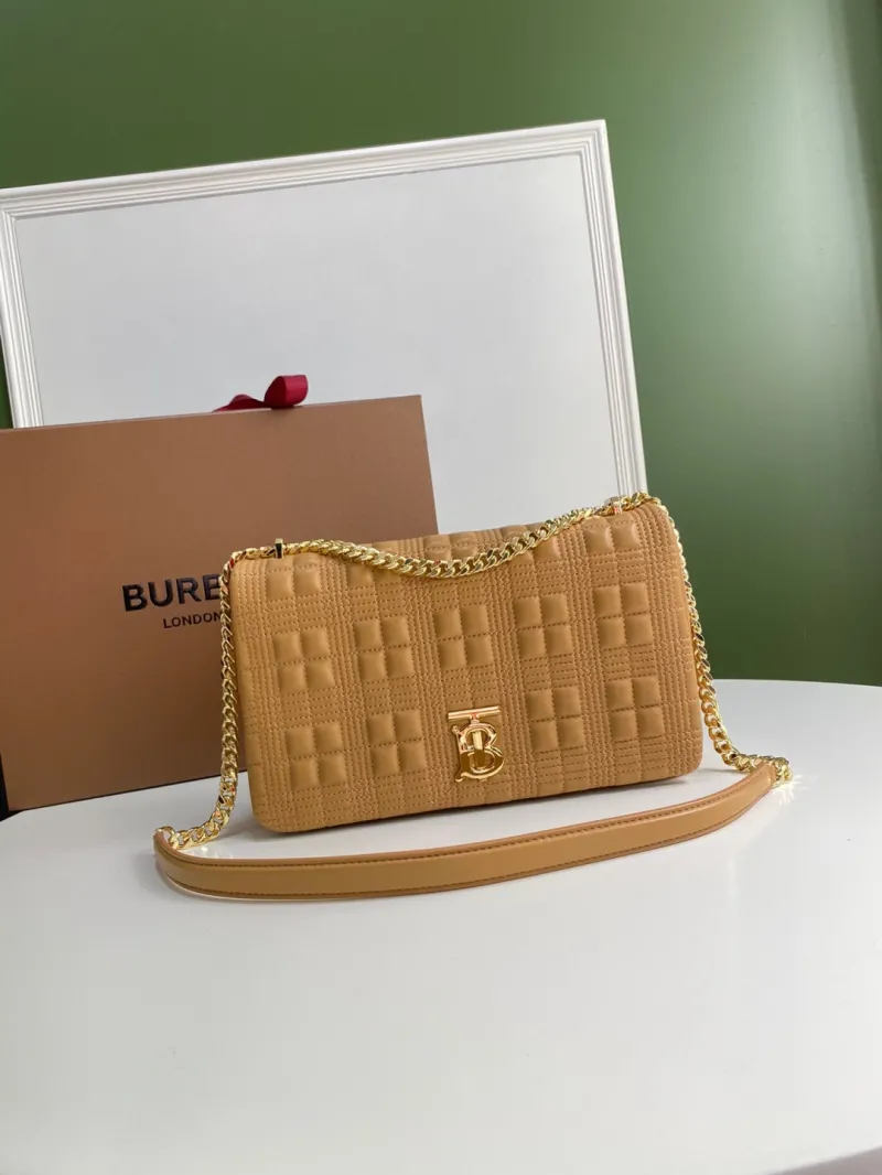 Burberry Satchel Bags-123