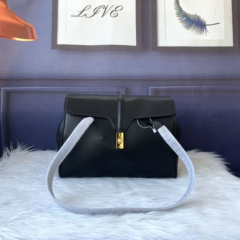 Celine Satchel Bags-4