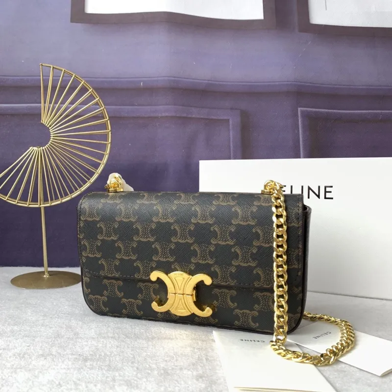 Celine Satchel Bags-11