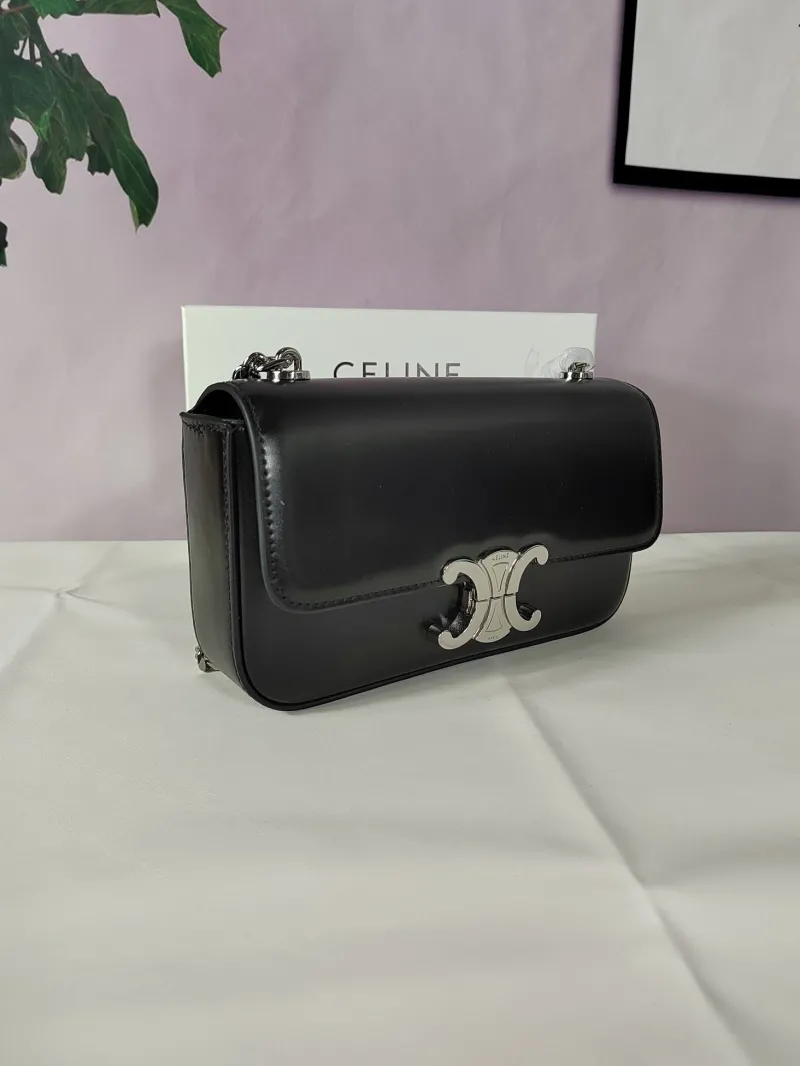 Celine Satchel Bags-13