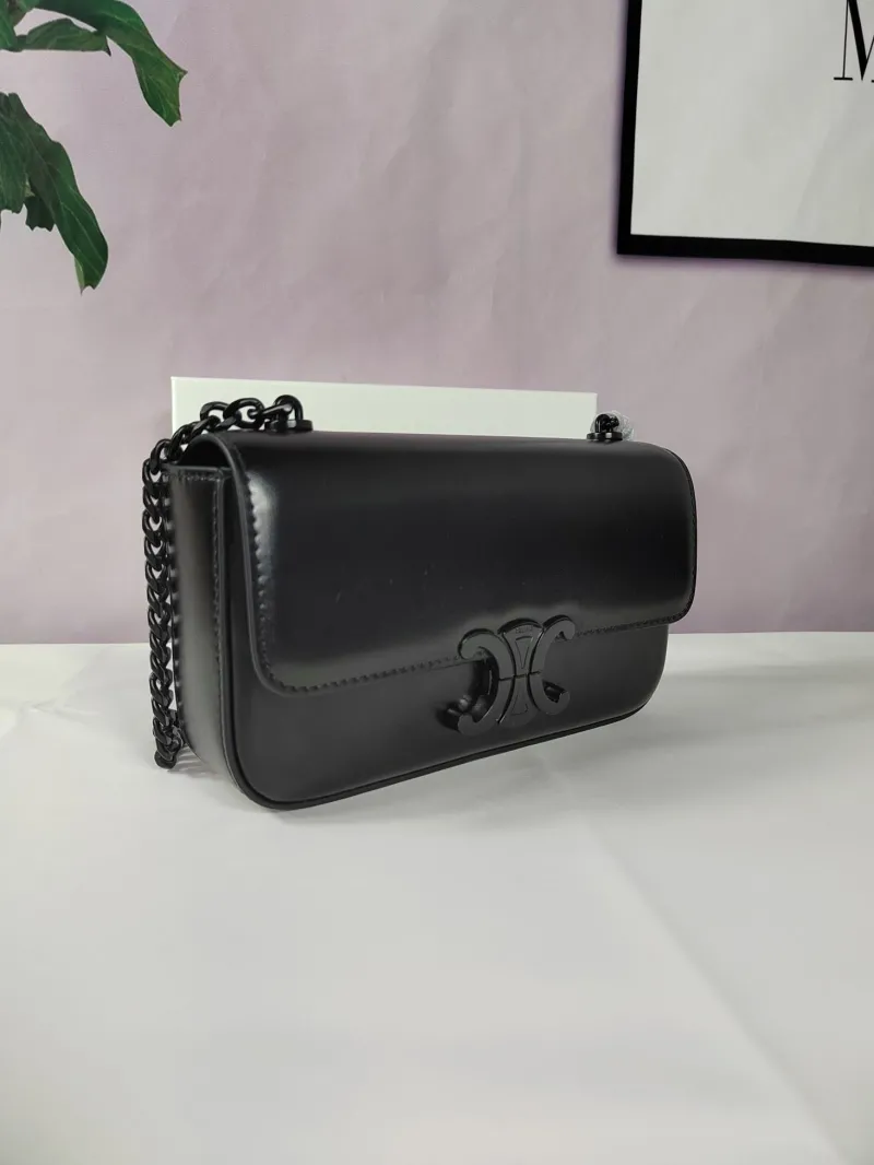 Celine Satchel Bags-14