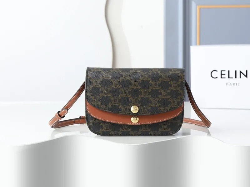 Celine Satchel Bags-20