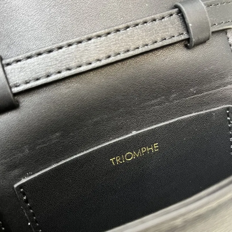 Celine Black Mini Crossbody Bag TTL653 - Image 8