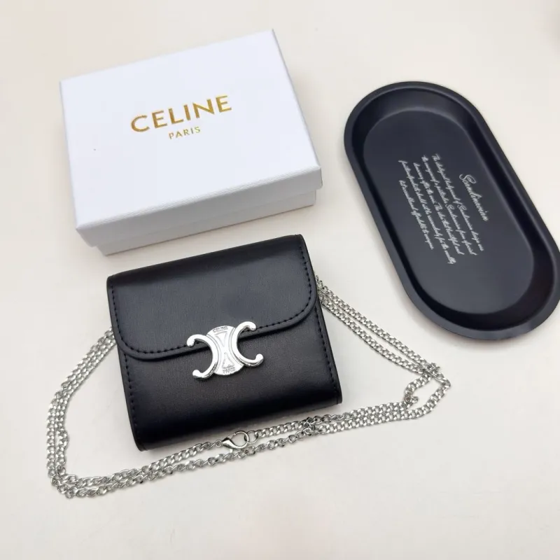Celine Satchel Bags-102