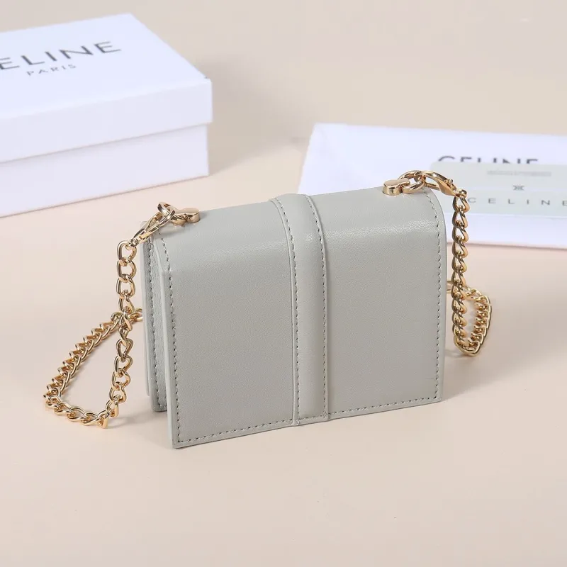 Alternative view of Celine Light Gray Mini Chain Crossbody Bag