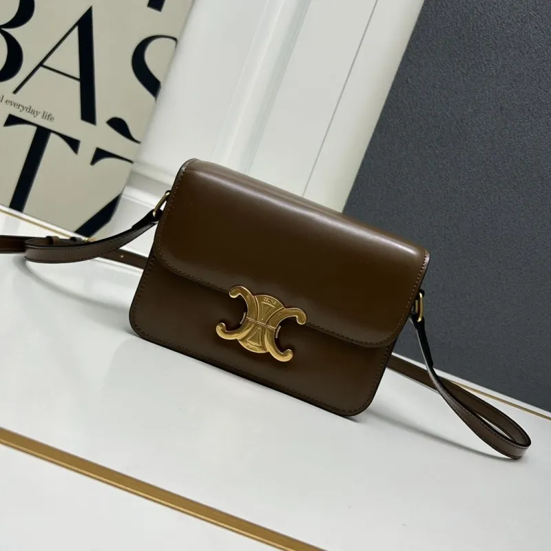 Celine Brown Leather Crossbody Satchel Bag 196
