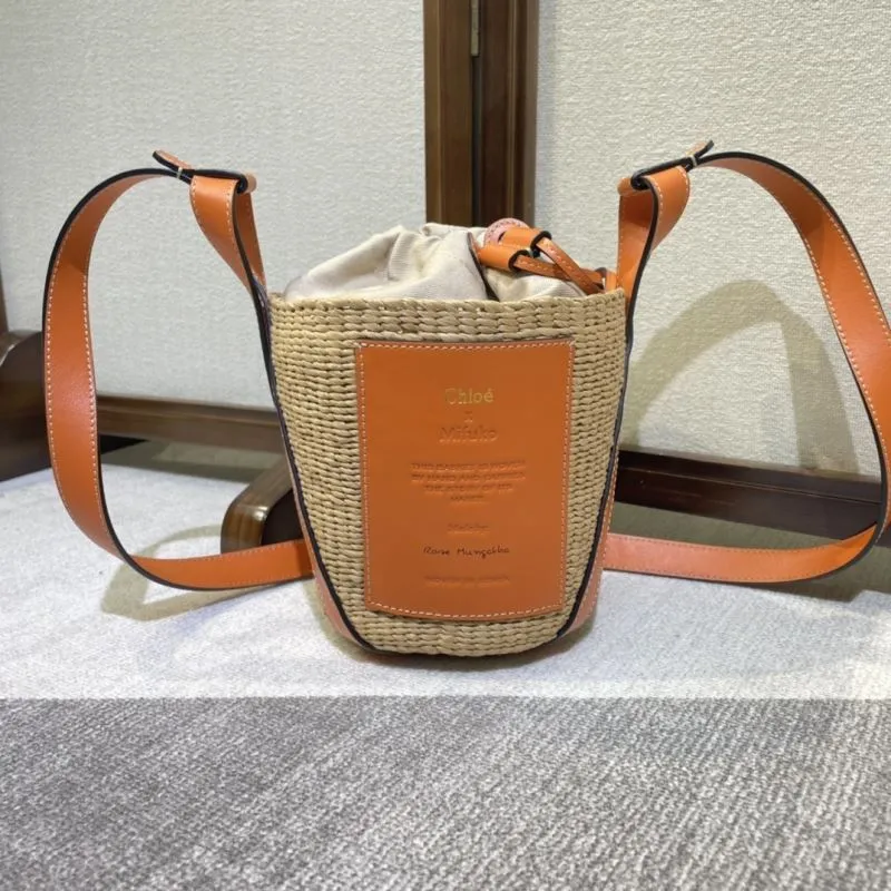 Celine Satchel Bags-355