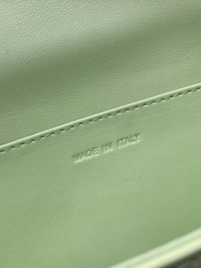Celine Triomphe Shoulder Bag Light Green 454 - Image 9