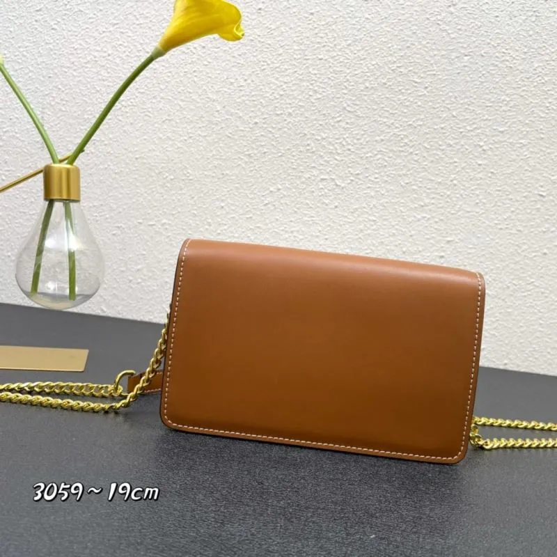 Alternative view of Celine Brown Crossbody Satchel Bag 3059 19cm