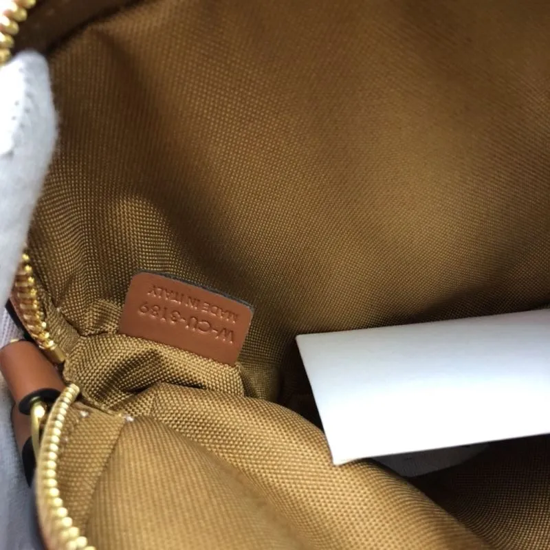Celine Triomphe Canvas Crossbody Camera Bag - Image 9